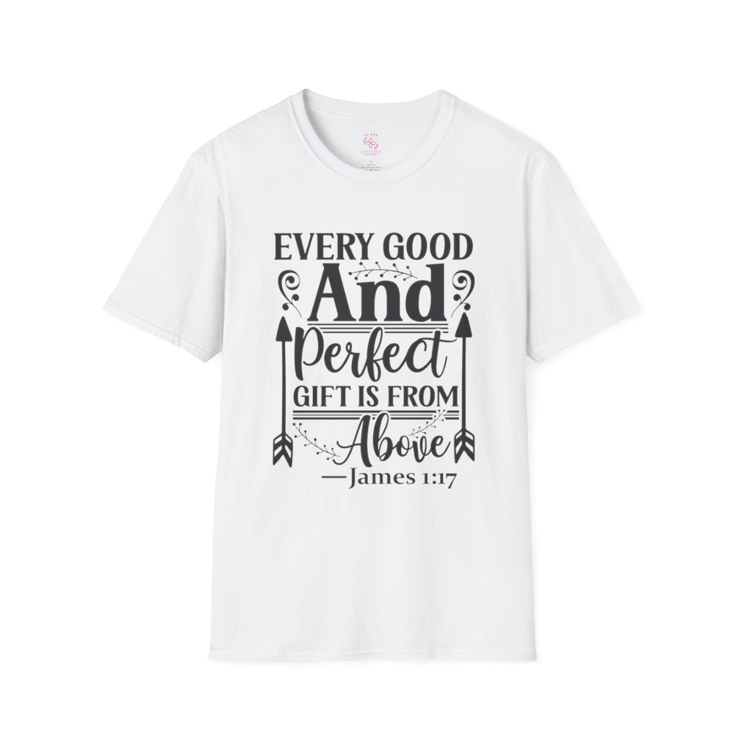 James 1:17 T-Shirt