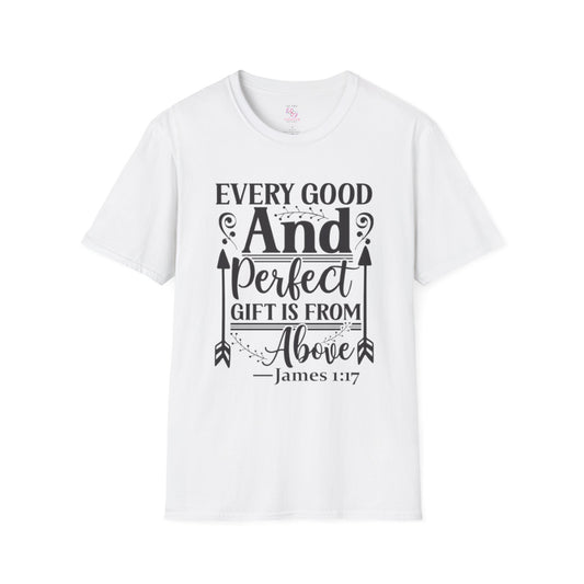 James 1:17 T-Shirt